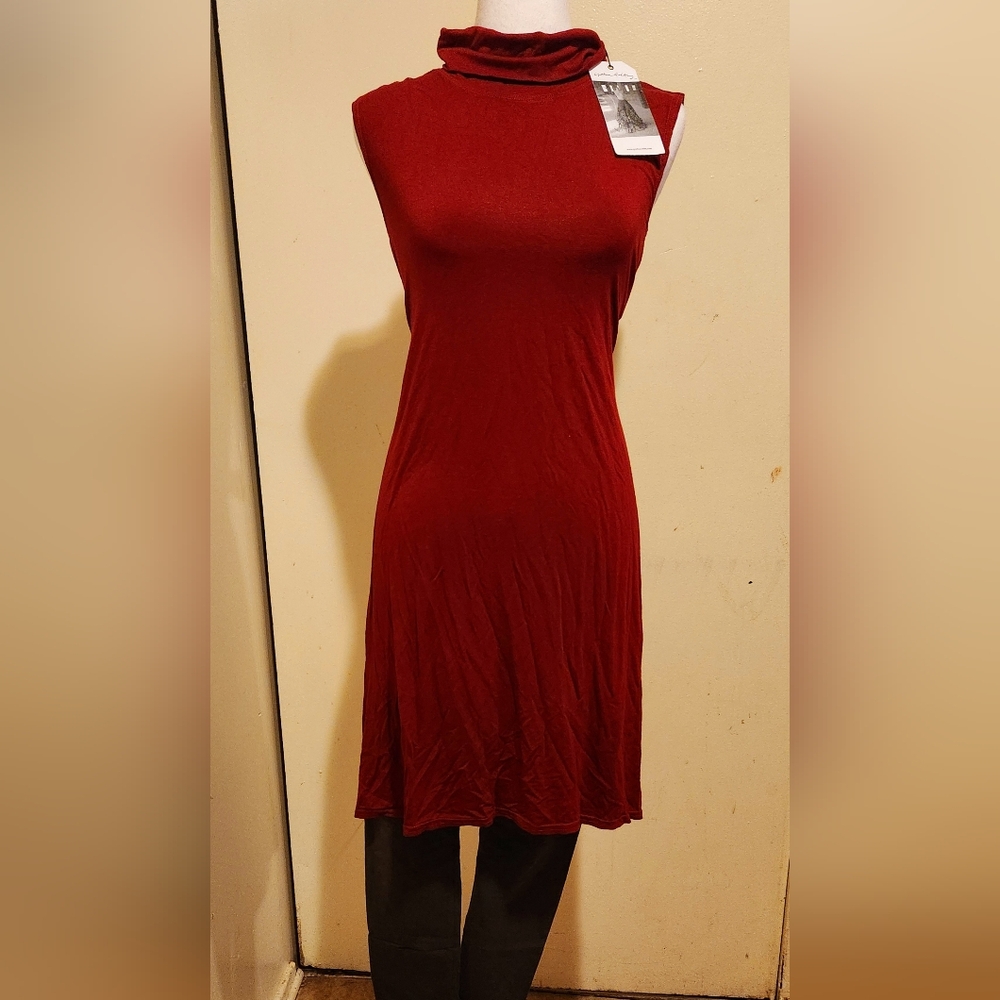 Turttle Neck Tunic